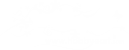 Hobby&Art