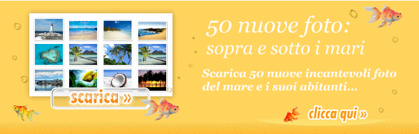 Foto da scaricare, clicca qui